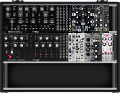 2 Moogs