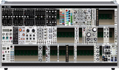 Case Option