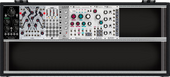 blck octopus