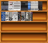 My muscid Eurorack (copy)