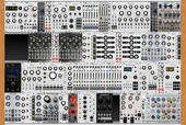 My zebrine Eurorack