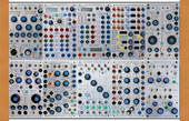 My revealed Buchla