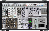My lymphoid Eurorack