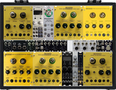 Metasonix case