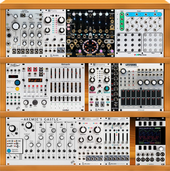 doepfer case