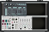 My rabid Eurorack