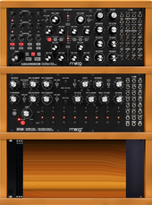 Moog Rack
