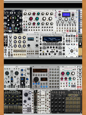 double intellijel cases