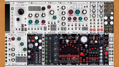 My ramose Eurorack