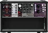 My phocine Eurorack
