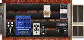 Current Board