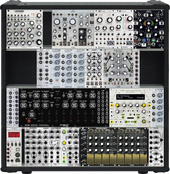 MDLR Case