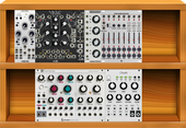 My scleroid Eurorack (copy)