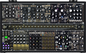 Black and Gold Shared System