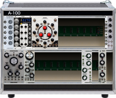 My awesome Truegrid Synth