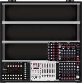 MDLR case