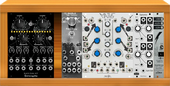 Moog Case