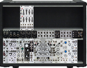 My aroid Eurorack