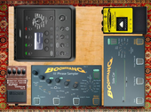 Looping Rig + Octave (JR)