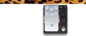 FGB