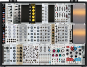 Moog + Case