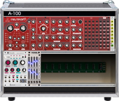 My dermic Eurorack