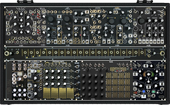Black &amp; Gold Shared System Plus (with brains)