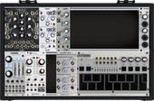 My beaky Eurorack