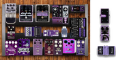 All purple all the time