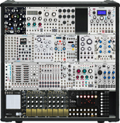 My skewbald Eurorack