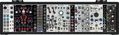 synthaurus