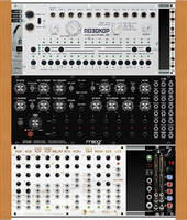 Moog skiff