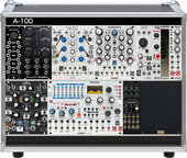 My pussy Eurorack