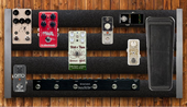 My freckly Pedalboard