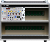 AS case w/ Sega module