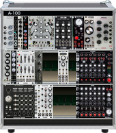 V1