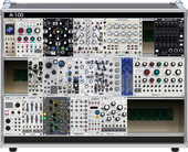 Digital Brain Rack