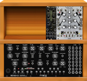 Moog 1x60