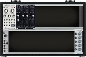 My dendroid Eurorack