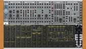 System 100MS20