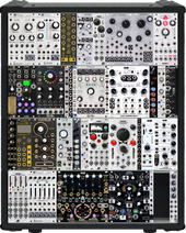 Case