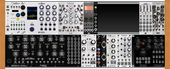 My lupine Eurorack