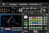 My disjoint Eurorack