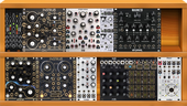 My hirsute Eurorack