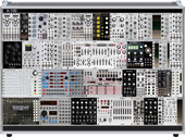 ninjapenguin 2019 live rig