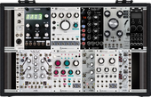 My finny Eurorack
