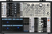 Funky Audrey Eurorack