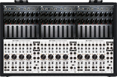 My torrent Eurorack