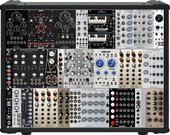 Sassie's onprofessionele teringzooi [Portable case]