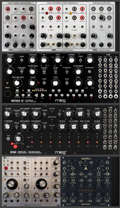 moog rig